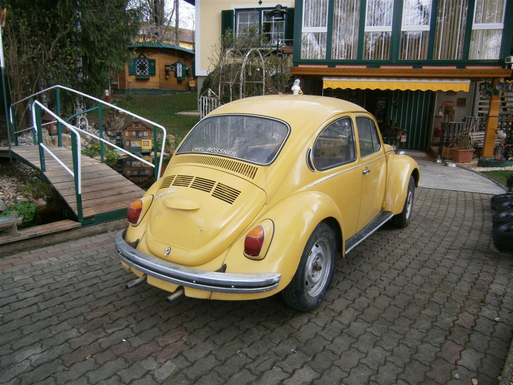 Käfer 1302